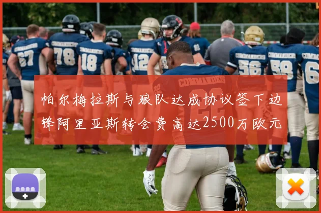 帕尔梅拉斯与狼队达成协议签下边锋阿里亚斯转会费高达2500万欧元