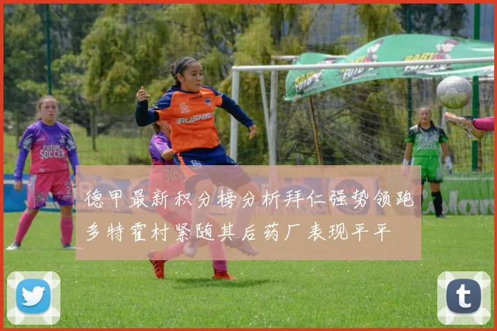 德甲最新积分榜分析拜仁强势领跑多特霍村紧随其后药厂表现平平