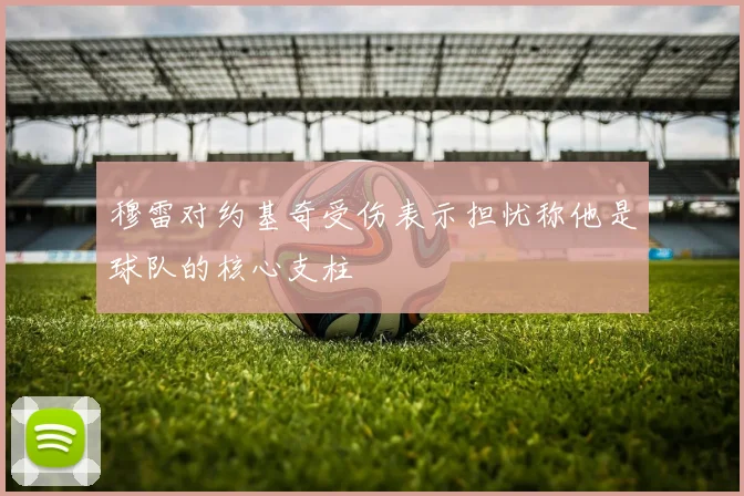 穆雷对约基奇受伤表示担忧称他是球队的核心支柱