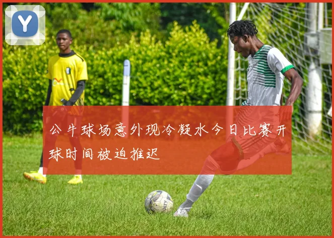 公牛球场意外现冷凝水今日比赛开球时间被迫推迟