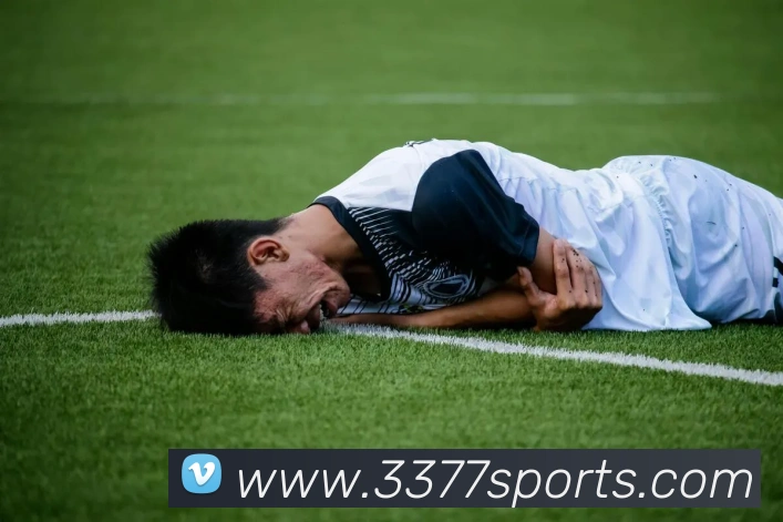 3377体育APP 封面图